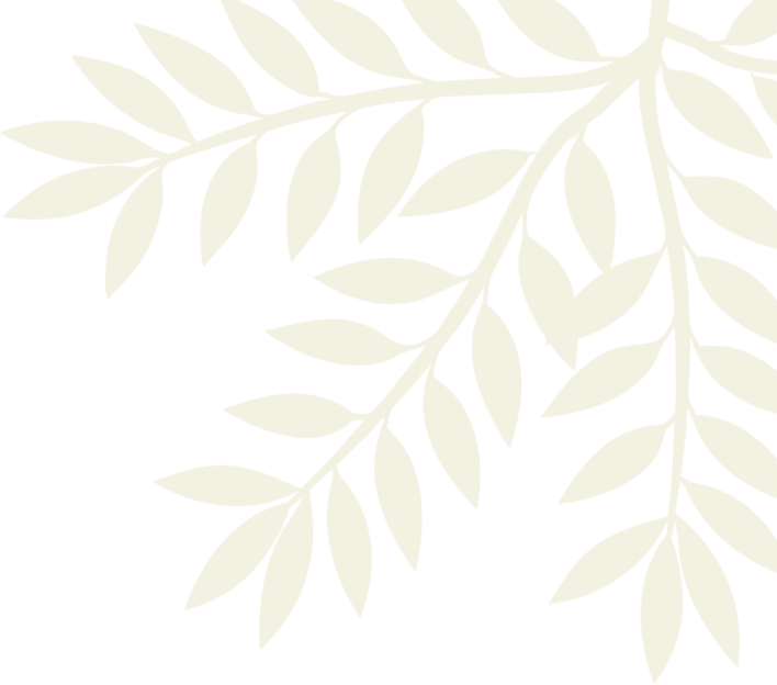 olijftak-rechtsboven