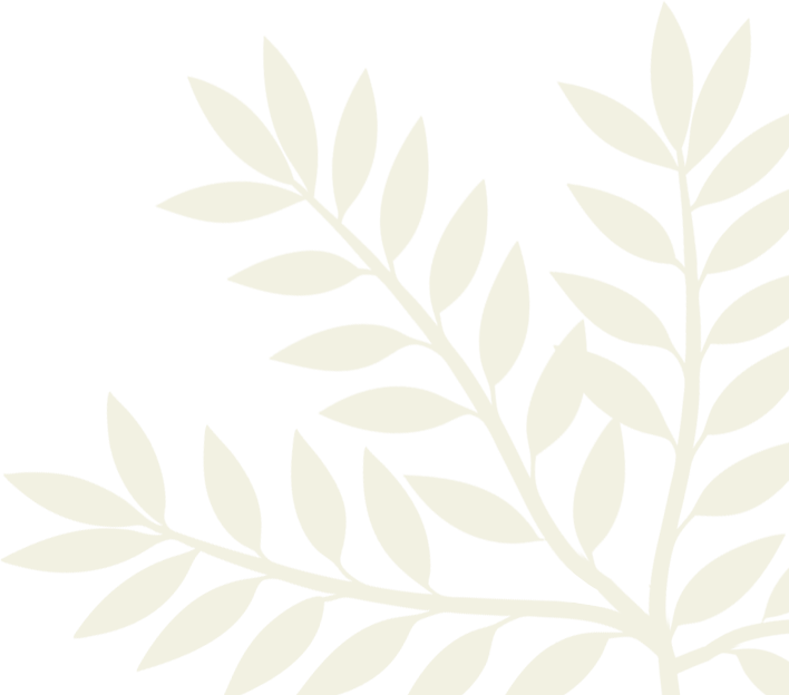 olijftak-rechtsonder