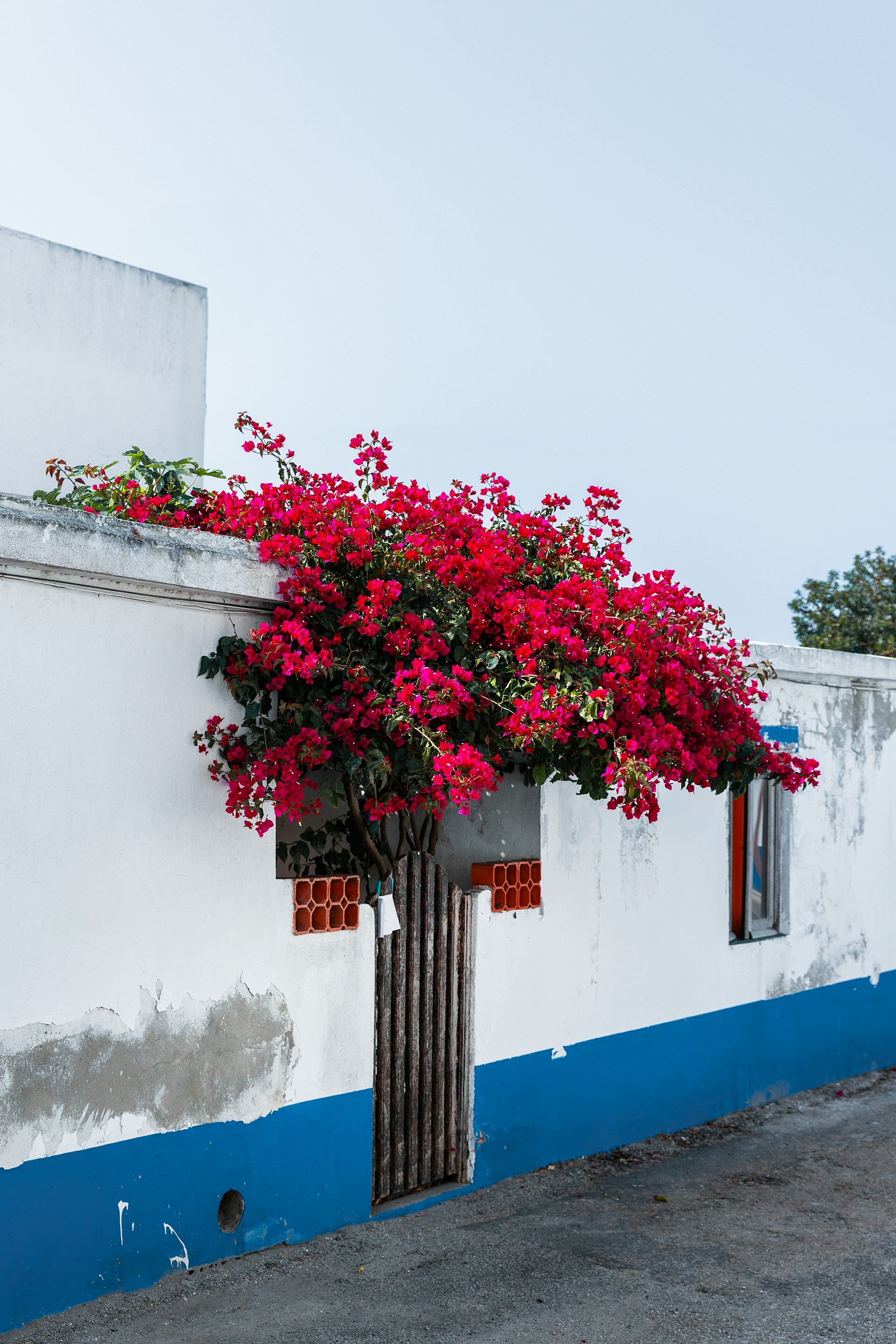 img-002